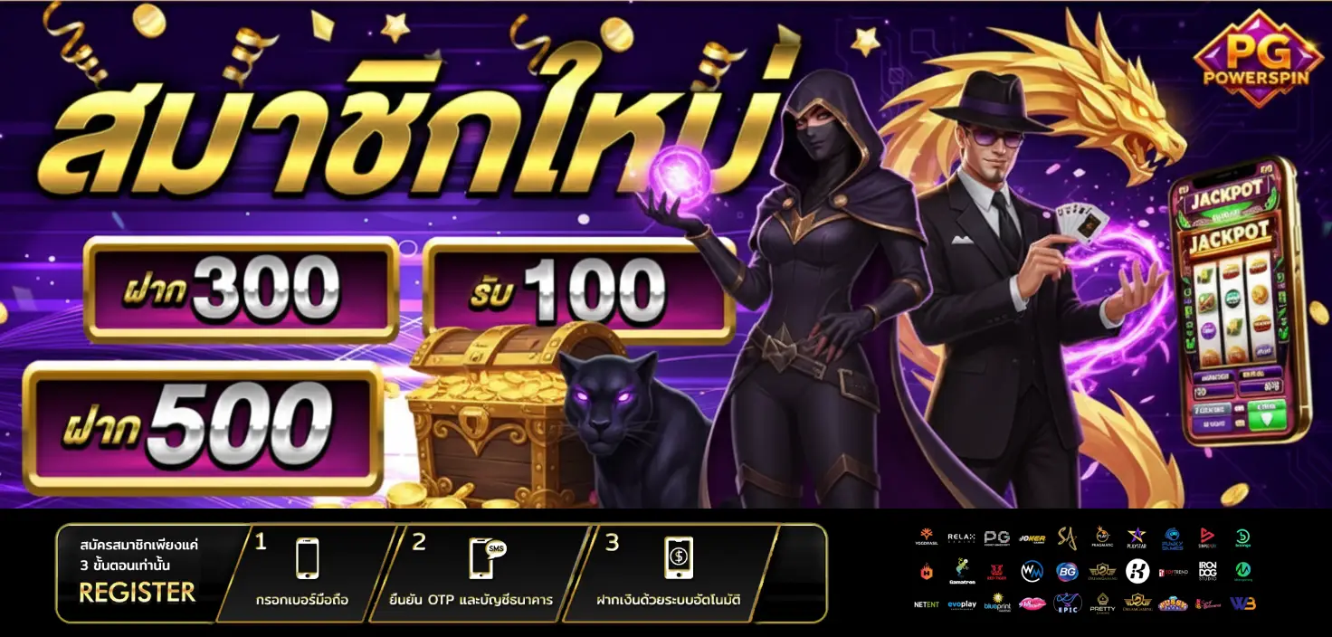 pgpowerspin คืออะไร